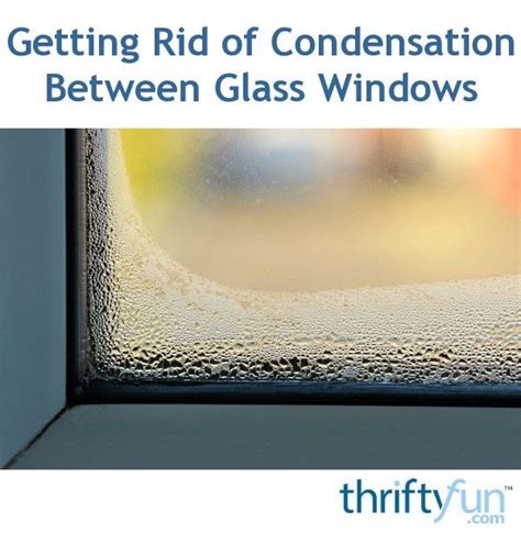 rid  condensation  glass windows window condensation