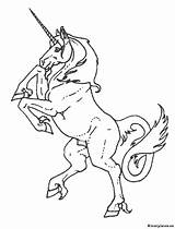 Pegasus Dieren sketch template