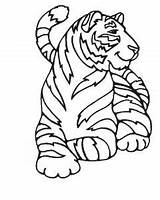 Tigers Coloriage Tigre Tigres Bane Goldorak Idees Grotte Justcolor Coloriages Enfant Lying Coloringpagesonly sketch template