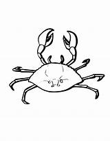 Crab Coloring Pages Marine Animals Blue Animal Printable Color Ghost Kids Horseshoe Sheet Swordfish Hermit Getdrawings Getcolorings Print Designlooter Drawing sketch template