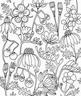 Colorfy Botanicals Doodle Illustrations Doodles Customize Pesquisa Zentangle Congdon sketch template
