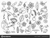 Zen Illustration Animals Doodle Drawing Set Forest Vector Stress Anti Stock Flowers Tangle Meditative Exercises Adults Coloring Book Depositphotos sketch template
