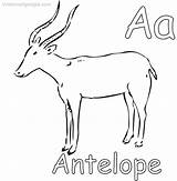 Antelope Printable sketch template