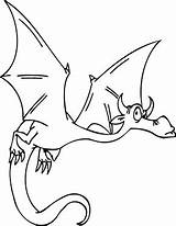 Drache Drachen Fliegender Ausmalbild Coloring Ausdrucken Mythological Designation sketch template