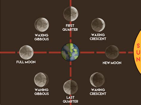 unit  moon phases eclipses  tides quiz quizizz
