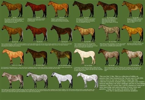 present part    parts   guide  equine genetics