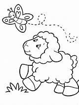Lamb Coloring Pages Animals Printable Sheep Kids Baby Kb sketch template