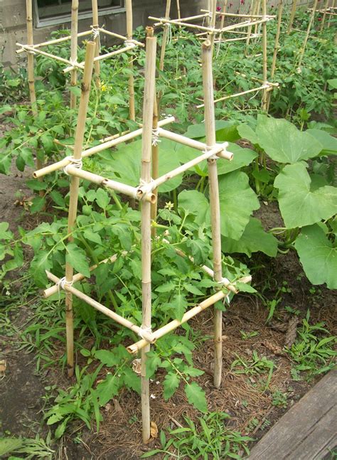 diy tomato cage ideas page    bless  weeds