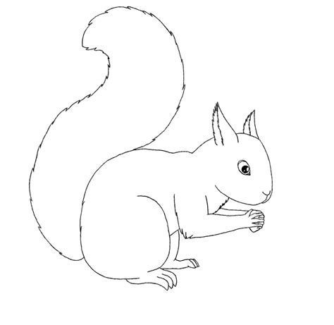 coloring pages squirrel animal place