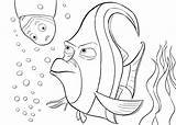 Nemo Gill Squirt Findet Ausmalen Dorie Fisch Zeichnen Aquarium Malvorlagen Coloringhome 4kids Advertisements sketch template