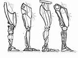 Prosthetic Leg Limb Coroflot sketch template