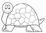 Coloring Tortoise Pages Printable Large Edupics sketch template
