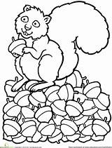 Squirrel Coloring Fall Acorns Pages Color Preschool Crafts Worksheet Football Theme Worksheets Acorn Kids Squirrels Education Camping Cute Pinecones Woodland sketch template
