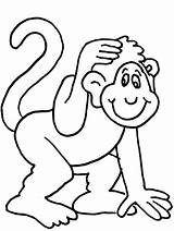 Coloring Pages Cartoon Monkeys Monkey Kids Popular Animal sketch template