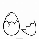 Ovo Ei Huevos Huevo Gallinas Problemas Ponedoras Egg Ultracoloringpages Postura sketch template