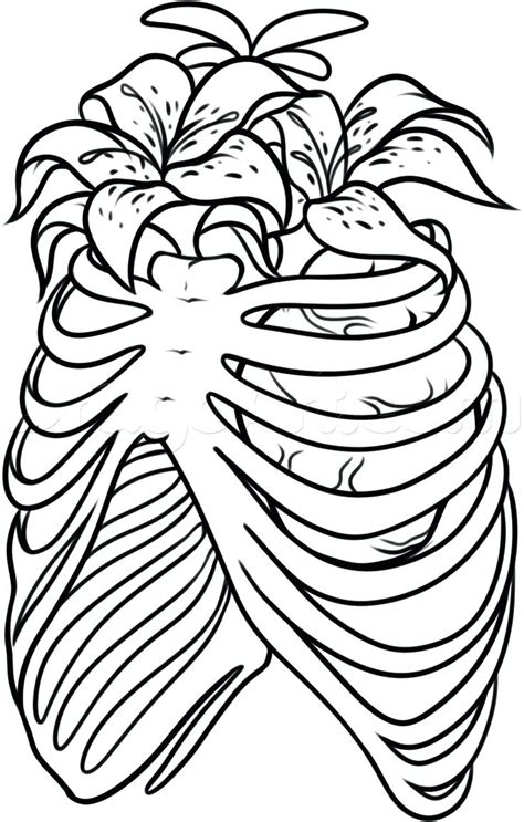 human heart anatomy drawing  getdrawings