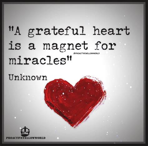 gratitude works gratitude words grateful heart  quotes