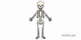 Skeleton Twinkl Ks1 Body Bones Human Childs Proportions Medical sketch template