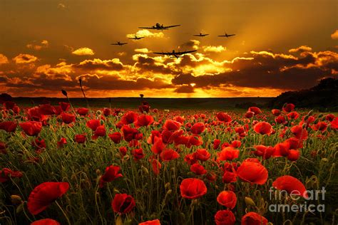 Sunset Poppies The Bbmf Digital Art By J Biggadike