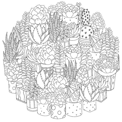 houseplants coloring pages  printable coloring pages  plants