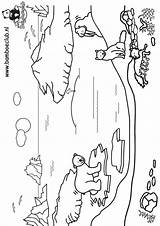 Noordpool Ijsbeer Kleurplaten Wnf Kleurplaat Beren Bestelcode sketch template