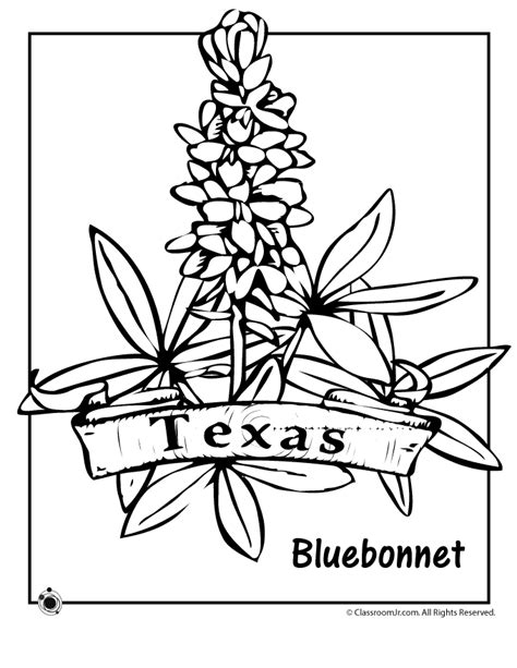 texas state flower coloring page woo jr kids activities