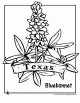 Texas Coloring State Pages Flower Bluebonnet Symbols Drawing Kids Printable Sheets Outline Jr Western Flag Books Classroom Activities Flowers Themed sketch template