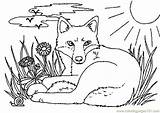 Coloring Pages Fox Terry Pixels Final sketch template