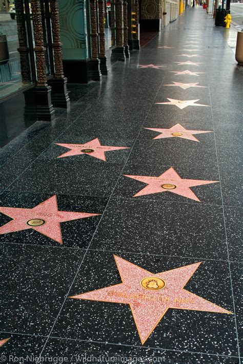 stars   hollywood walk  fame los angeles california
