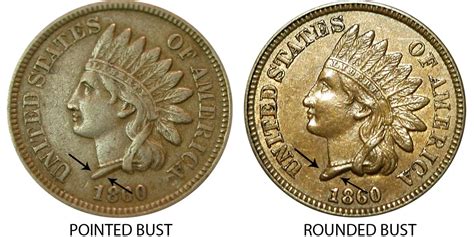 indian head penny pointed bust coin  prices  info