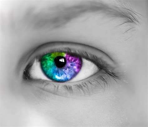 eye color based caste system designed    alt  hapas