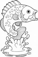 Freshwater Fishes sketch template