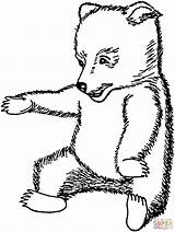 Coloring Cub Bear Pages Brown Baby Animals Printable Drawing Bears Line Drawings Click Designlooter Getdrawings 1674 33kb Categories sketch template