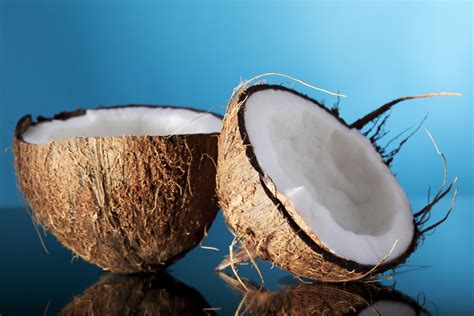 do not put your penis in a coconut both horror stories and science