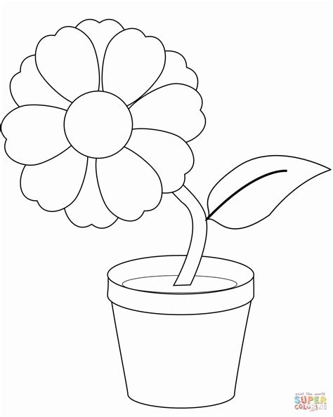 flower pot coloring sheet yunus coloring pages