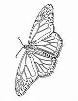 Coloring Pages Butterfly Printable Kids Butterflies Bestcoloringpagesforkids Monarch Bookmark Animal Mycoloringland Land sketch template