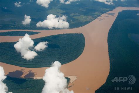 アマゾンのダム新設で「大規模な」環境破壊の恐れ 研究 写真1枚 国際ニュース：afpbb news