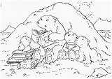 Polar Bear Coloring Pages Printable Kids Little sketch template