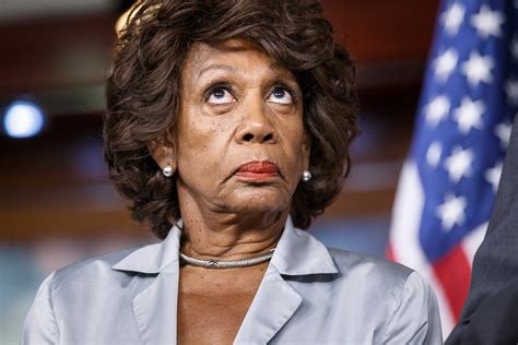 rep maxine waters   mercilessly slamming trump   supporters  loving