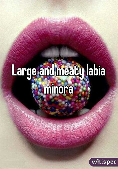 large and meaty labia minora