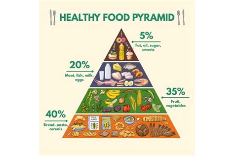 healthy food pyramid infographic pictures  visualizatio