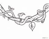 Vines Twisted Plant Sketches Planten Library sketch template