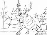 Coloring Frozen Pages Sven Christmas Colouring sketch template