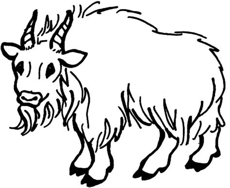 mountain goat climbing  hill coloring pages color luna