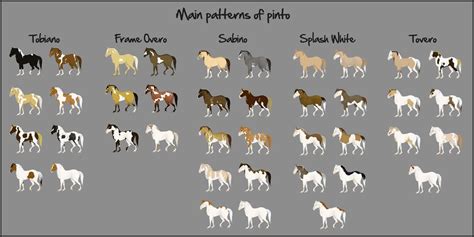 pin  horses