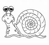 Caracol Lumaca Snail Anziana Cargol Jalen Dibuix Bosque Acolore Dibuixos sketch template