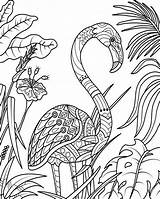Flamingo Kolorowanka Colorir Natureza Zentangle Okresie Letnim Desenhos Luau Legale Ora Wektorów Colori Ausdrucken Vettori Folhas sketch template