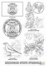 Michigan State Coloring Symbols Printable Pages Flag Bird Crafts Kids Oklahoma Supercoloring Texas sketch template
