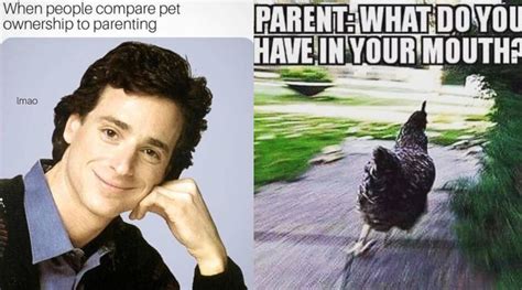 hilarious parenting memes  remind    struggles    laugh parenting