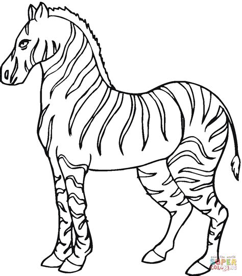 zebra colouring picture google search zebra coloring pages animal